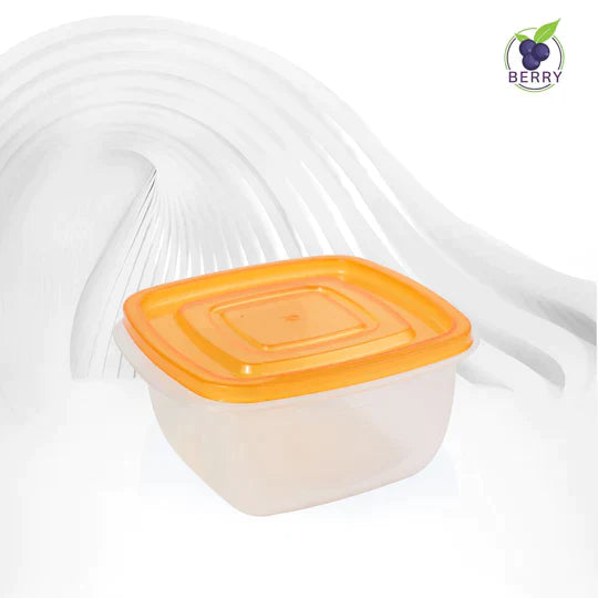 Food Containers (Pack of 4)