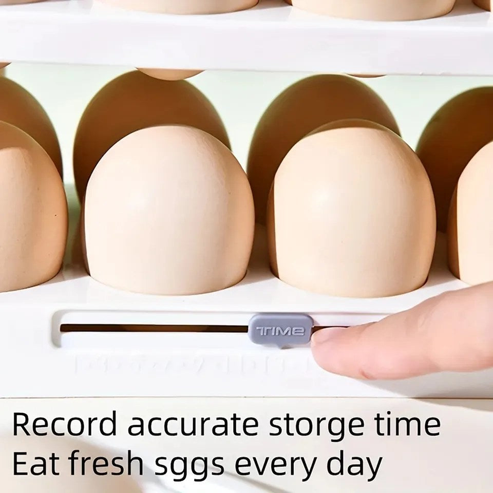 Egg Tray With Record Accurate Storage Time