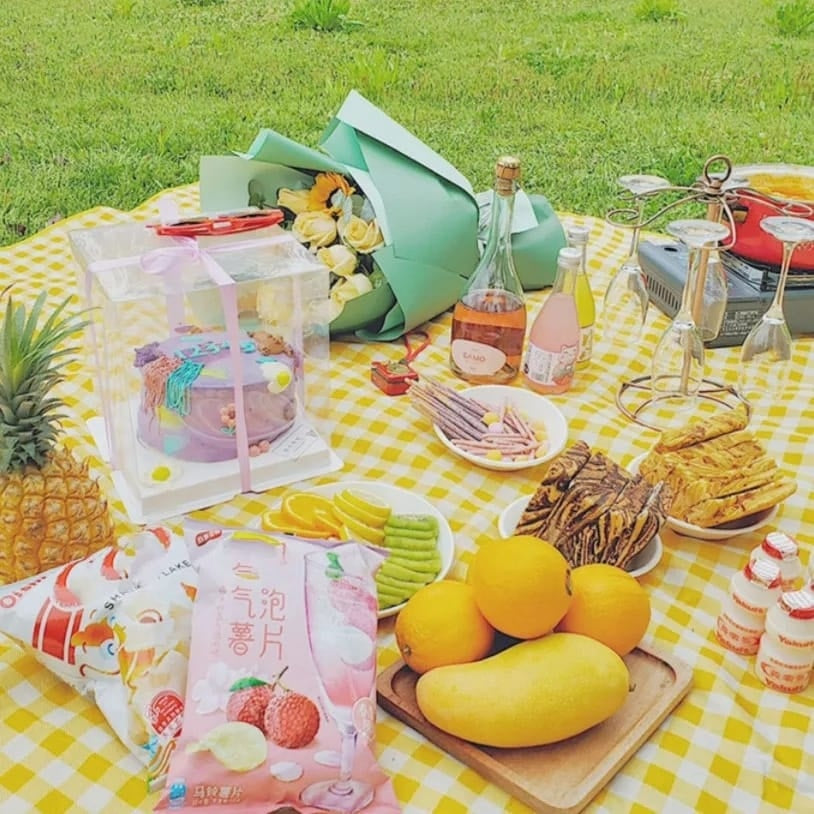 Picnic Perfect Foldable Mat