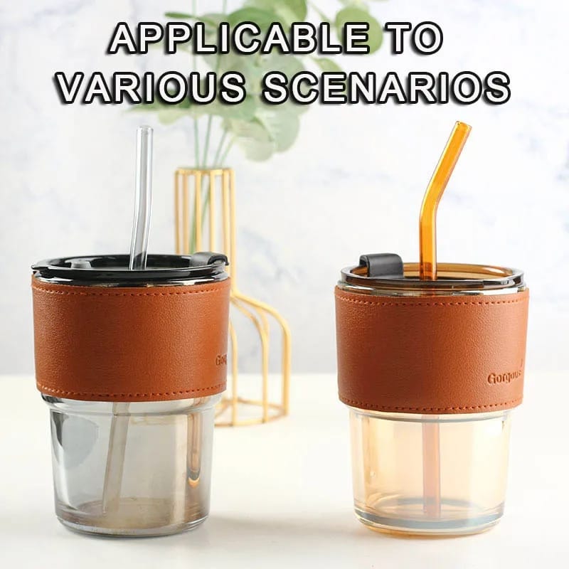 Glass Tumbler With Straws-450ML