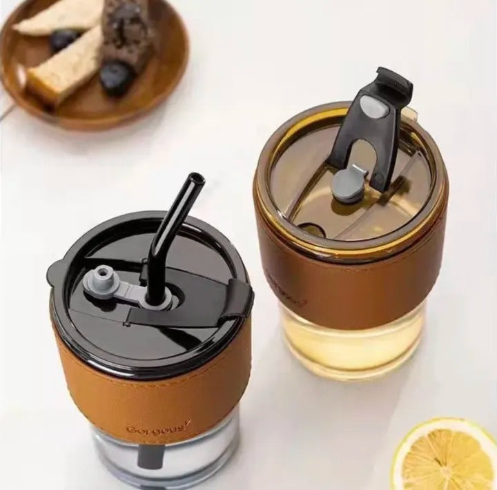 Glass Tumbler With Straws-450ML