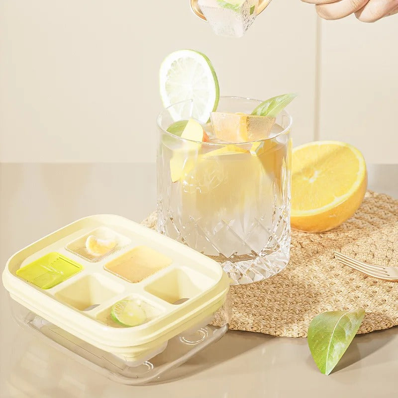 6 Grids Ice Tray Mold