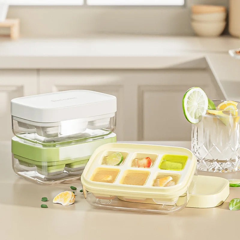 6 Grids Ice Tray Mold