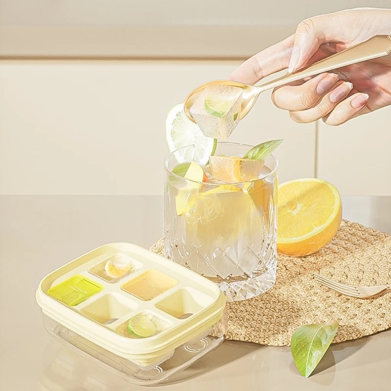 6 Grids Ice Tray Mold