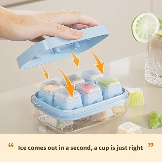 6 Grids Ice Tray Mold