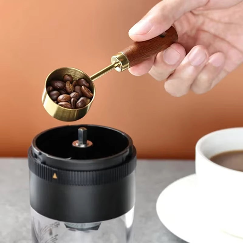 Stainless Steel Wooden Handle Measuring Spoon