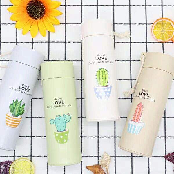 400ml Cactus Glass Water Bottle – Leak - Proof, BPA - Free | Cute Insulated Bottle for School & Office - Saadiq.pk