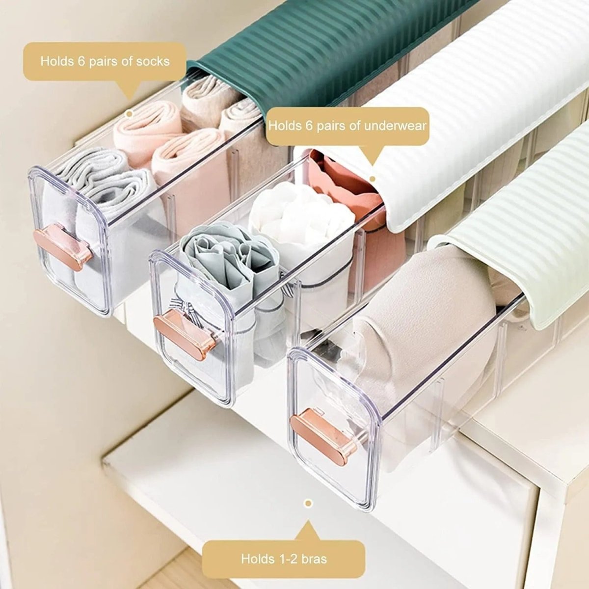 6 - Cell Clear Wall Mounted Storage Box – Multipurpose Organizer - Saadiq.pk