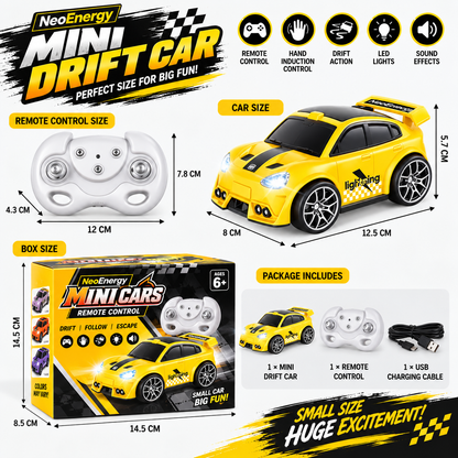 Remote & Induction Controlled Neo Energy Mini Drift Car