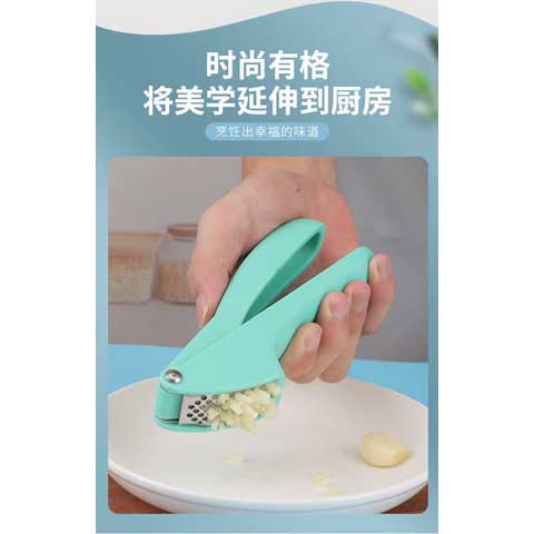 Stainless Steel Garlic Crusher