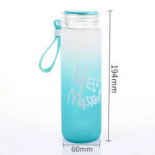 Frosted Style Water Bottle – Portable Leak - Proof Drink Bottle - Saadiq.pk
