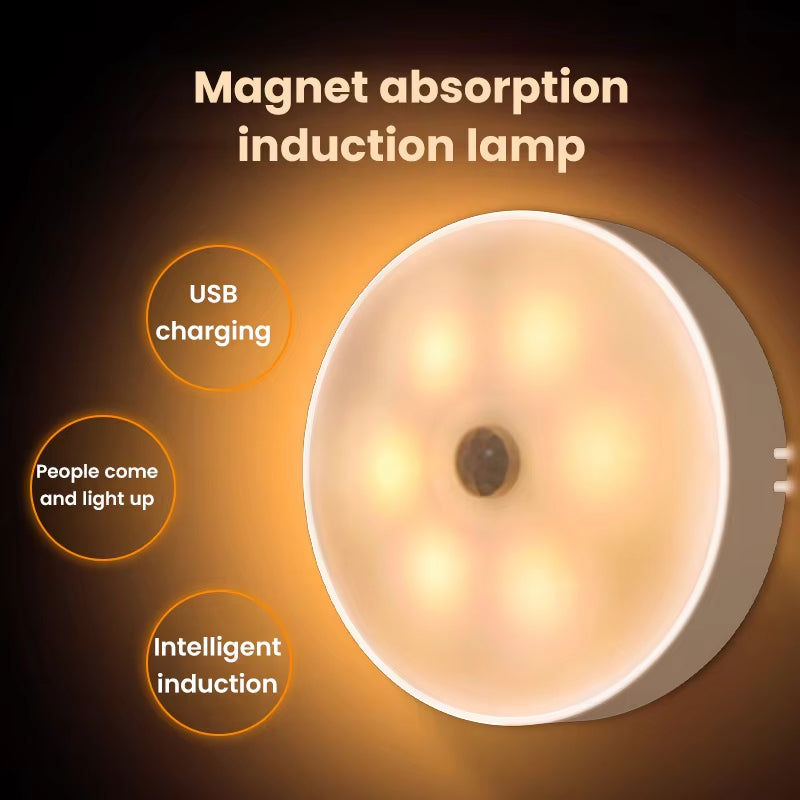 USB Charging Human Induction Light Induction Night Light