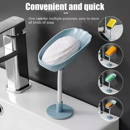 Shell Soap Dish - Saadiq.pk