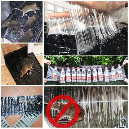 Sticky Mouse Trap Sheet - Saadiq.pk