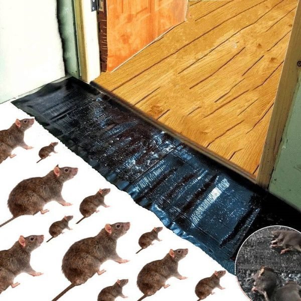 Sticky Mouse Trap Sheet - Saadiq.pk